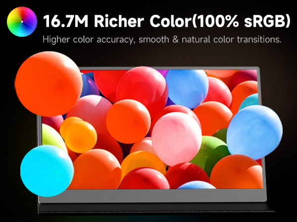 AYY Portable Monitor