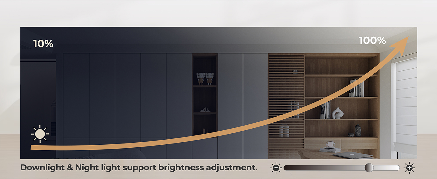 dimmable ceiling light