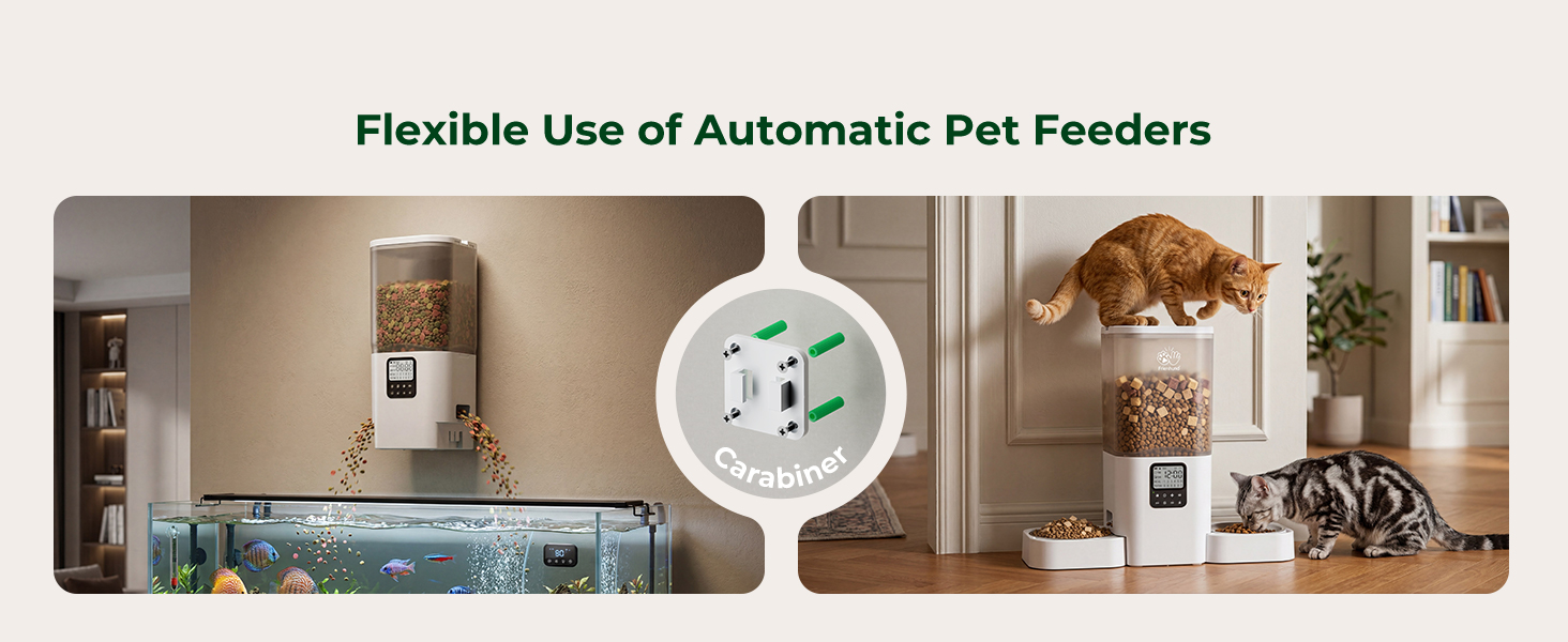 auto feeder cat food