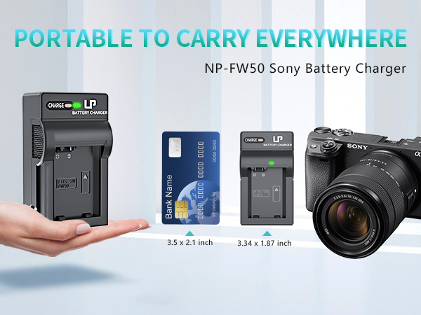 sony a6000 battery charger