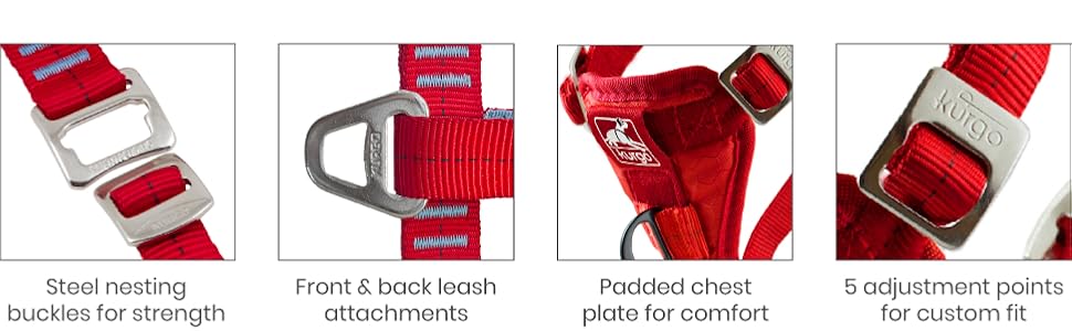 Steel Buckles, 2 Point Attachment, Padded, Adjustable 