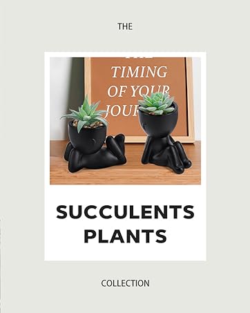 succulent palnt