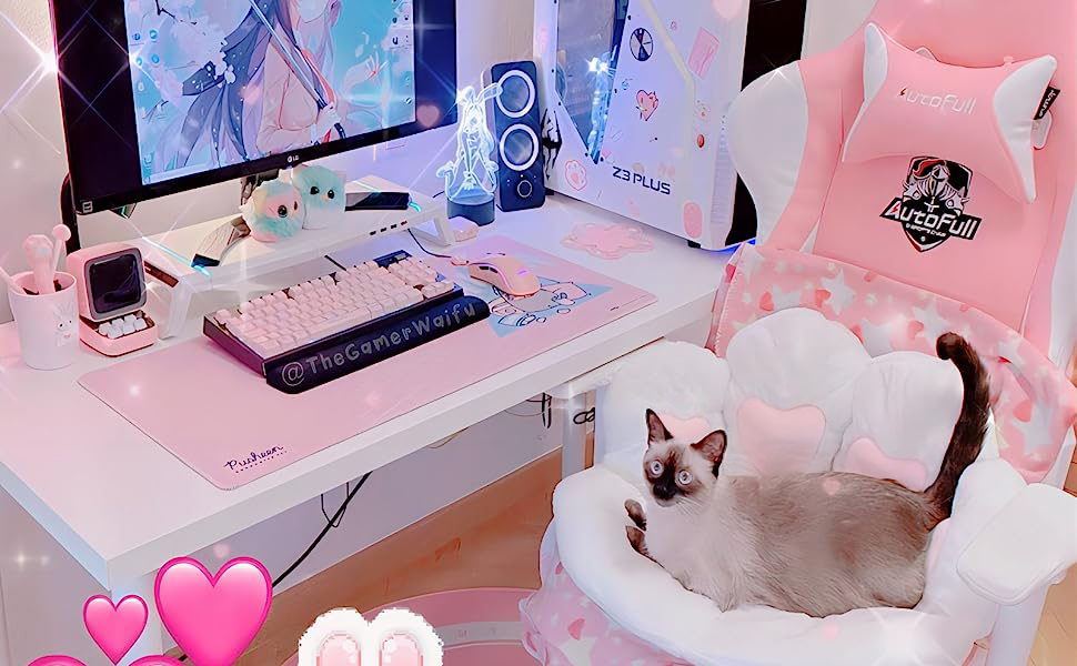 cat paw cushion