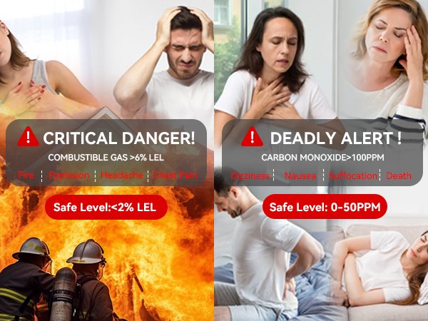 Gas &amp;amp; Carbon Monoxide Detector