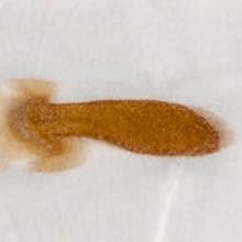 parker bailey coffee stain remover