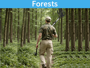use for forests