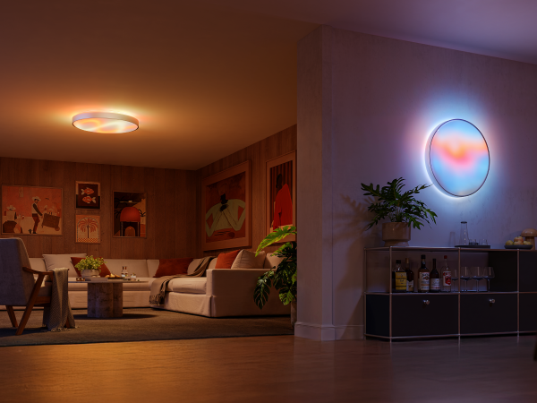 govee ceiling light 