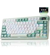 Aula Nova75 Mechanical Gaming Keyboard 8000mAh,Gasket Mounted with 75% Compact Layout,RGB Backlit...