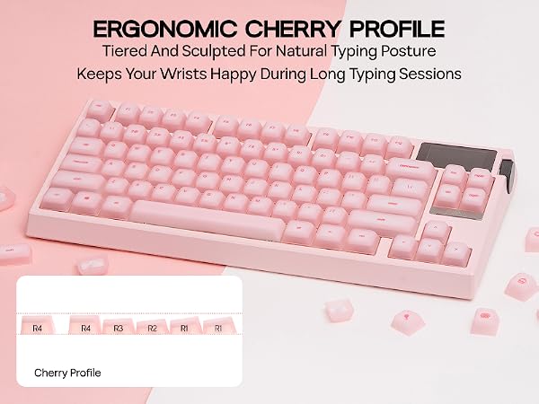 AegisSil Keycaps Set