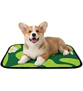 Qeils Reusable Puppy Pads for Small Dogs, Washable Pee Pads with Non-Slip , Absorbent Leakproof M...