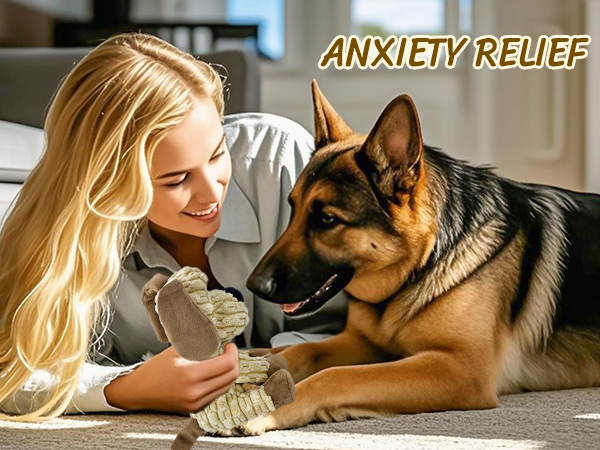 dog toys