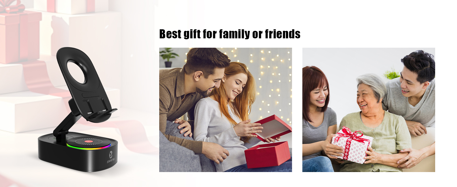 Wireless Induction Bluetooth Speaker