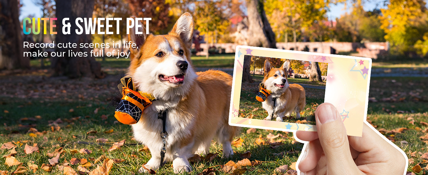 Nelko PP01 photo printer portable photo printer photo picture printer mini photo printer