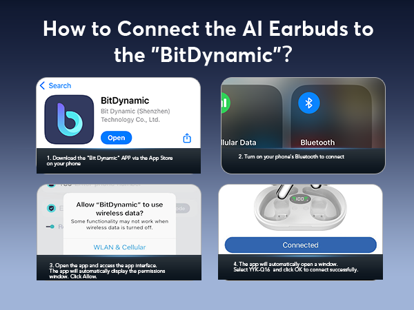 translation earbuds