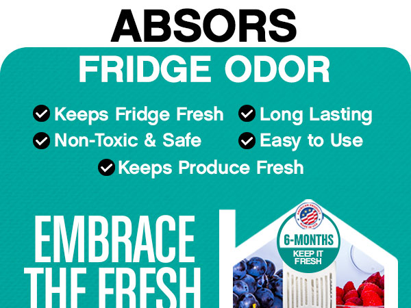 container refridgerator armon el refrigerators car eliminador olores balls elimination eliminate pod