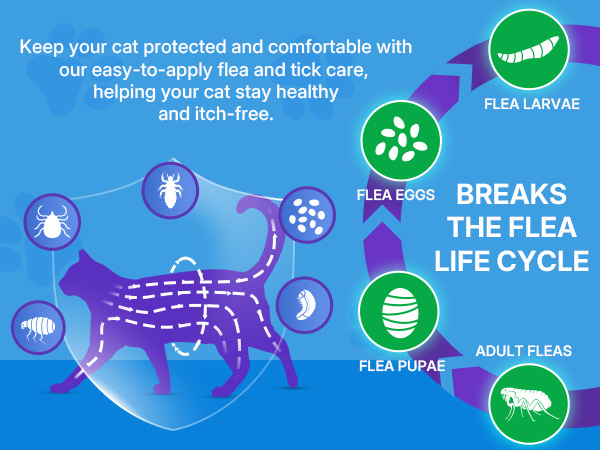 cat flea treatment