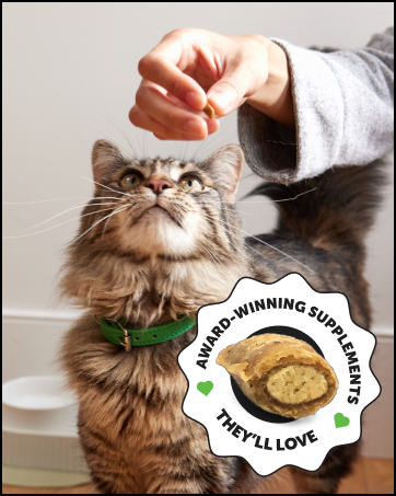 cat vitamins