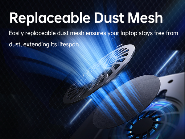Replaceable dust mesh
