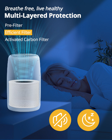 Levoit Core mini Filter