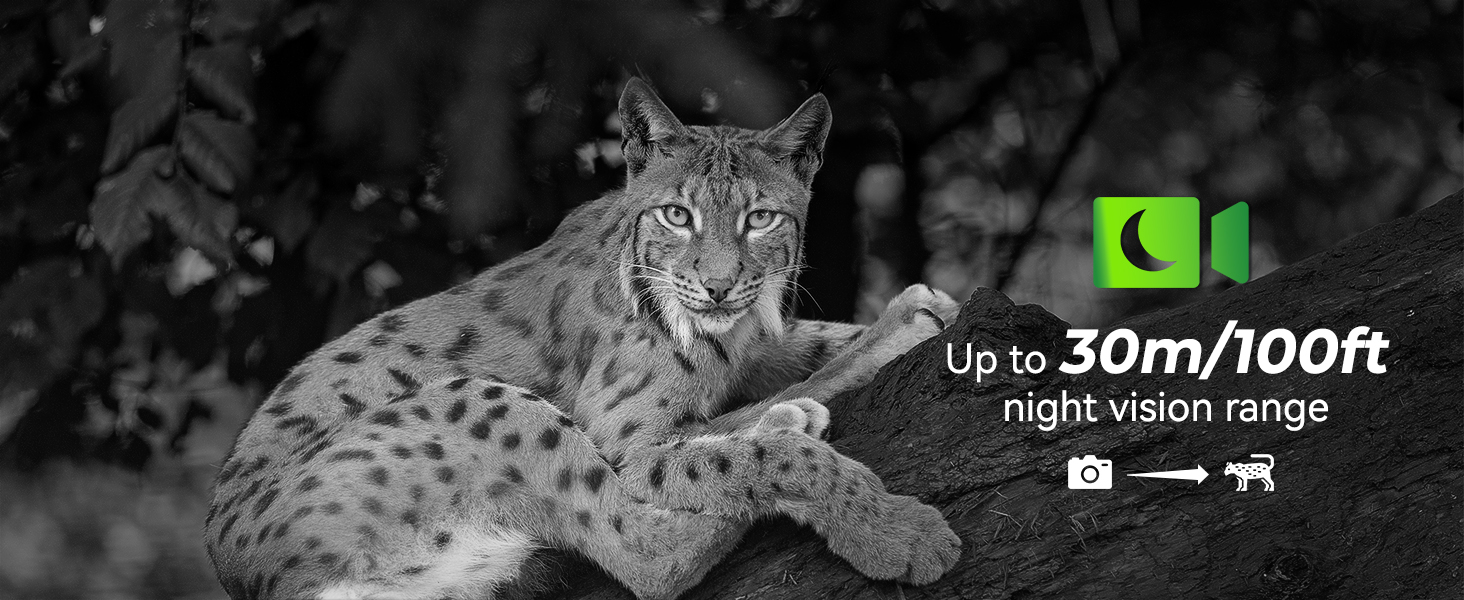 Excellent Night Vision