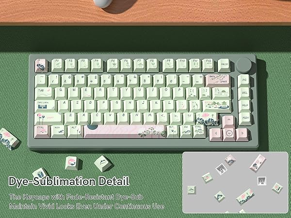 The Keycaps with Fade-Resistant Dye-Sub Maintain Vivid Looks Even Under Continuous Use