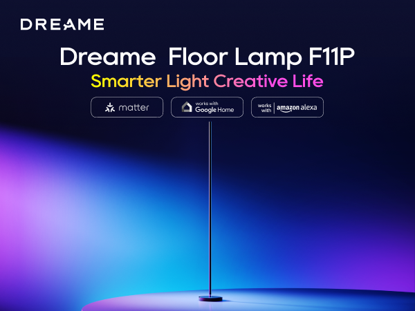 LED Floor Lamp