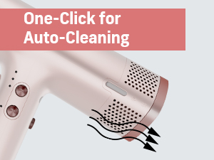 Professional Quiet Hairdryer