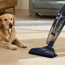 Pet-friendly