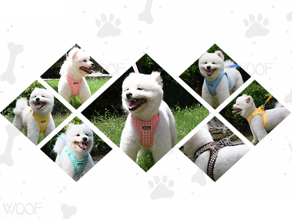 AIITLE No Pull Dog Harness and Leash Set, Step in No Chock Soft Mesh Dog Harnesses 