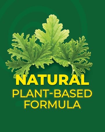 KING Citronella Mosquito Coils - Natural Plant Based Formula