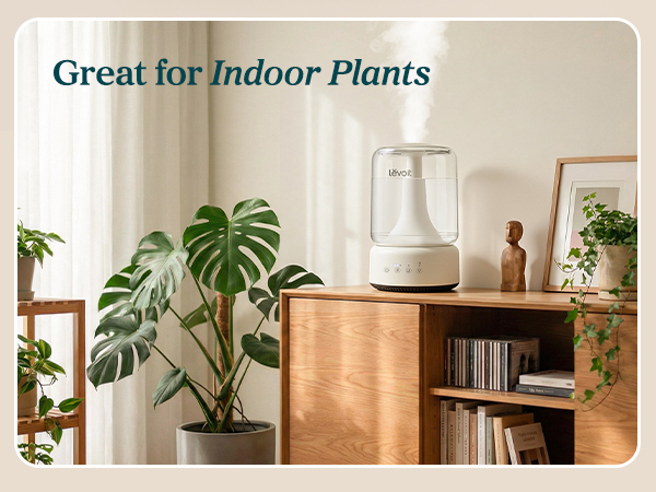 Provide plants with more suitable humidity