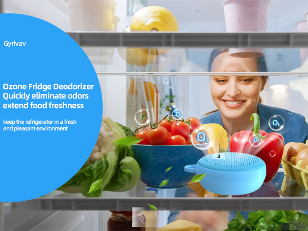 fridge deodorizer