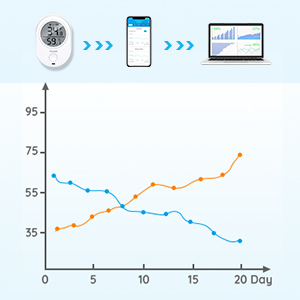 Data Storage and Export