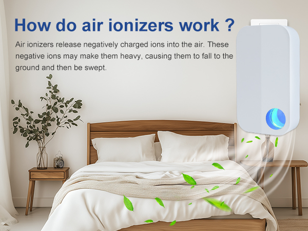 air ionizer