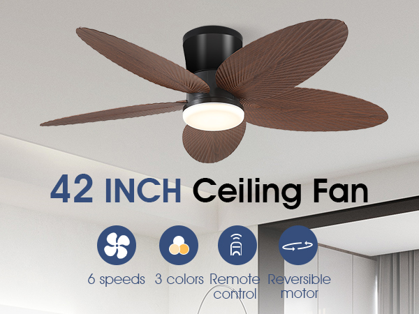 ceiling fan