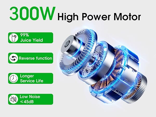 300W High Power Motor