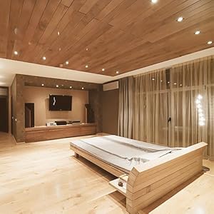 TORCHSTAR CRI90+ Dimmable PAR20 LED Bulbs