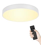 Flush Mount Ceiling Light