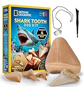 National Geographic Shark Tooth Dig Kit – Excavate Replica Teeth Fossils from Ancient Sharks and ...