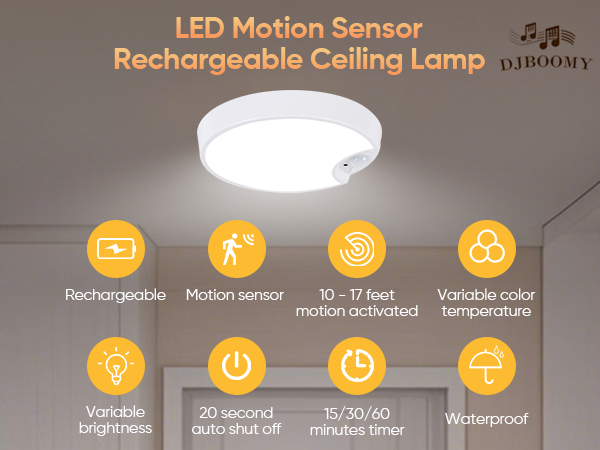 Ceiling light