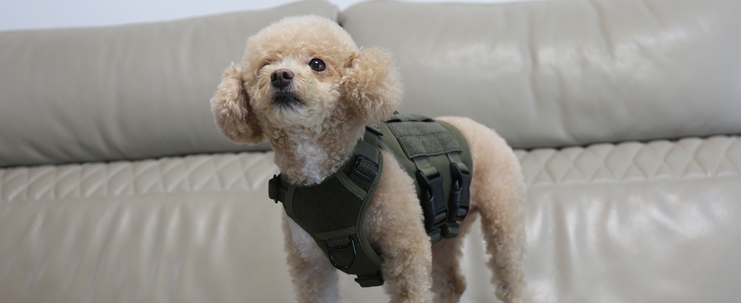 dog vest x small