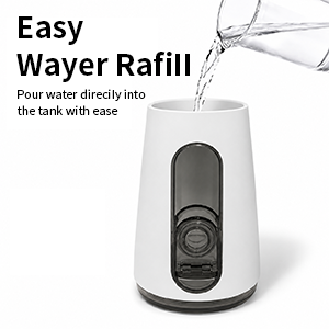 water flosser portable