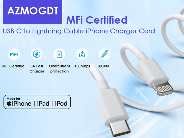 USB C to Lightning Cable
