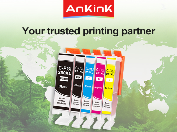 250XL INK CARTRIDGE