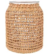 DOITOOL Glass Flower Vase with Rattan Cover, Round Decorative Flower Vase Flower Bud Vase Rustic ...