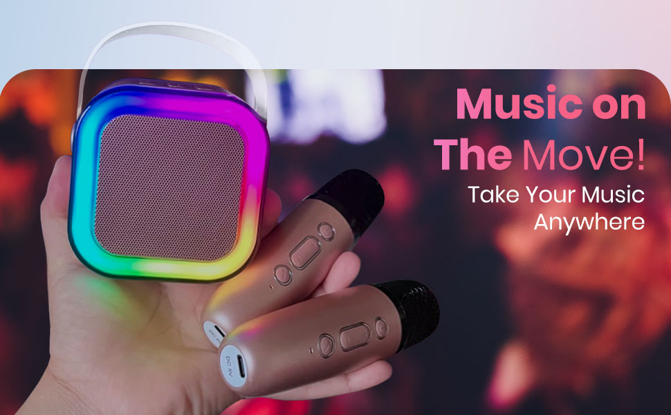 mini karaoke with 2 microphones