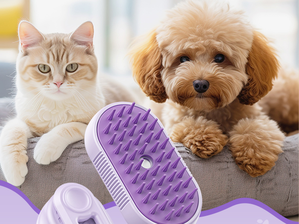 cat steam brush
