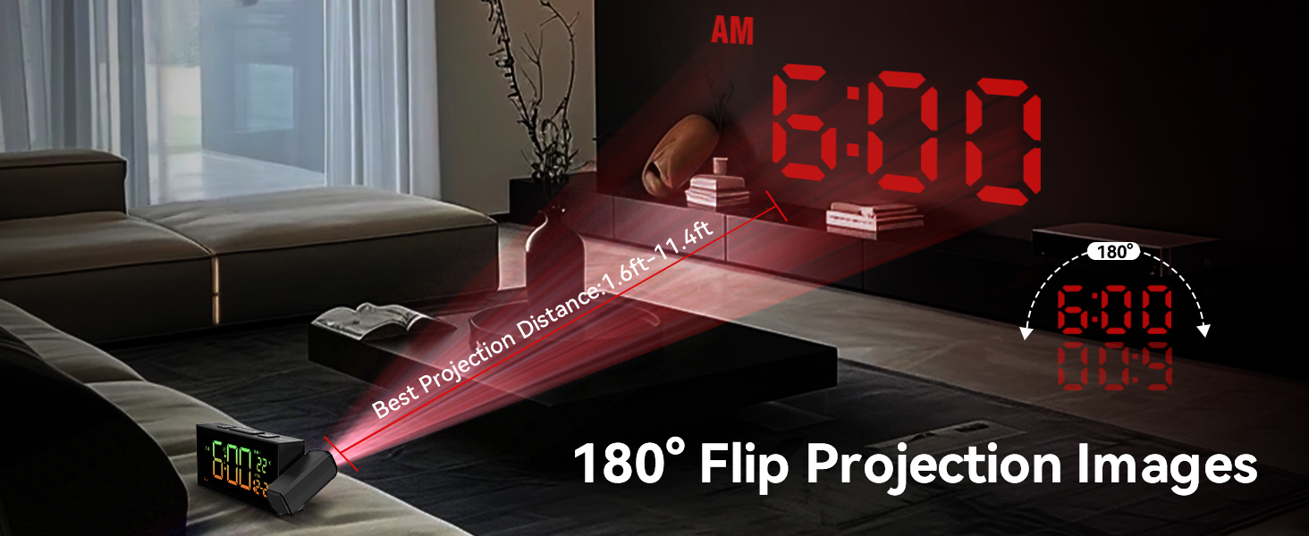 180° Filp Projection Images