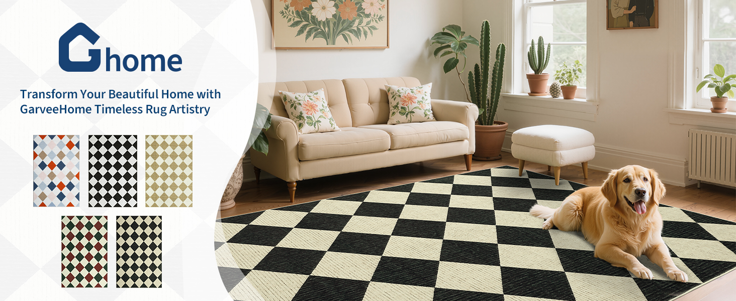 Living Room Area Rug