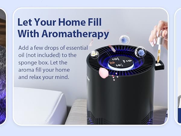 air purifiers for Office